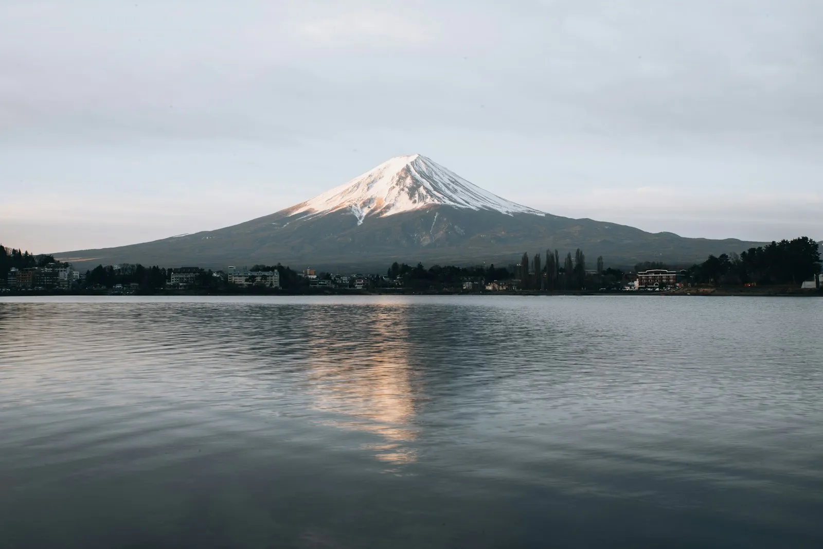 Japonya’da sonbahar yapraklarından bir kare