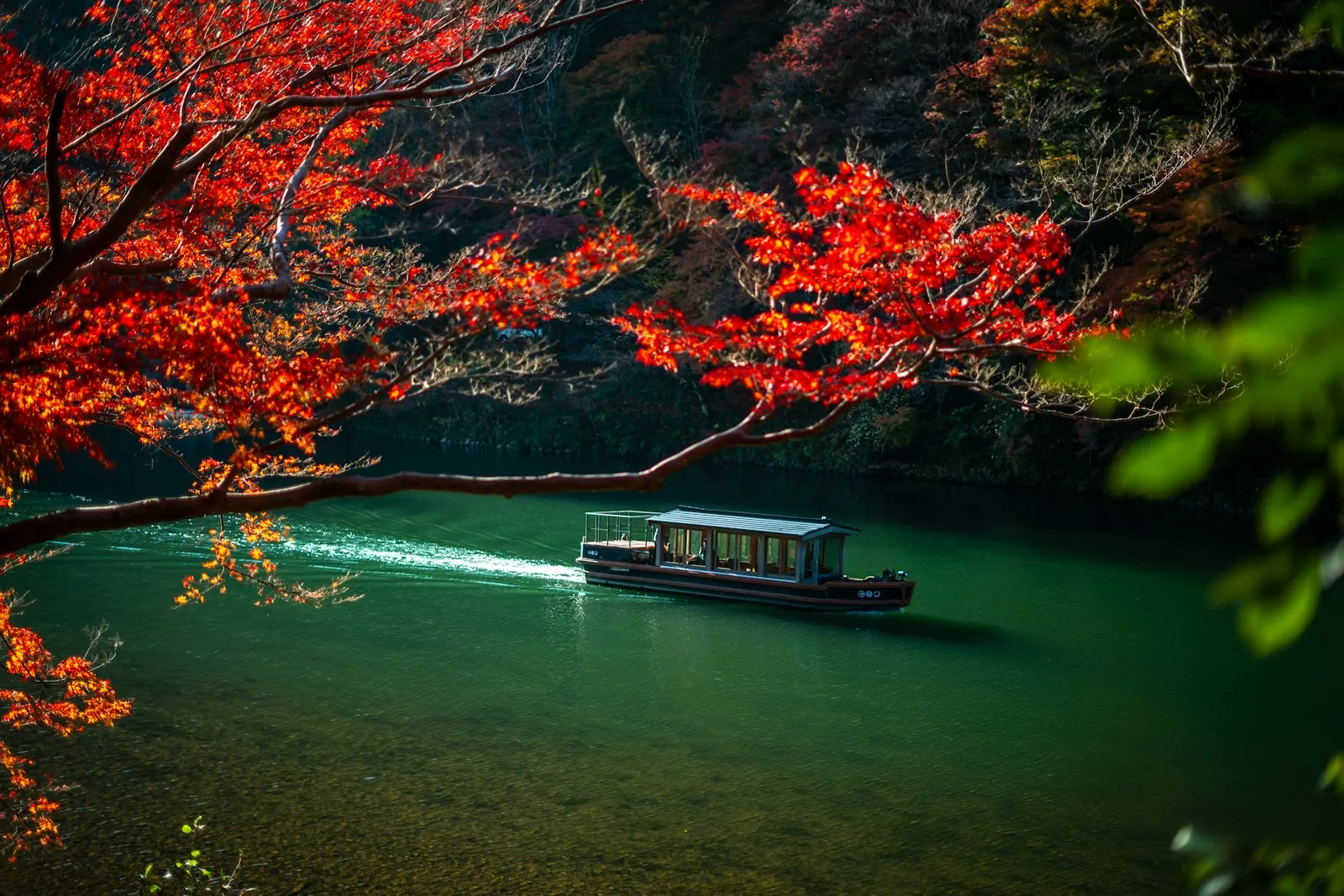 Japonya’da sonbahar yapraklarından bir kare