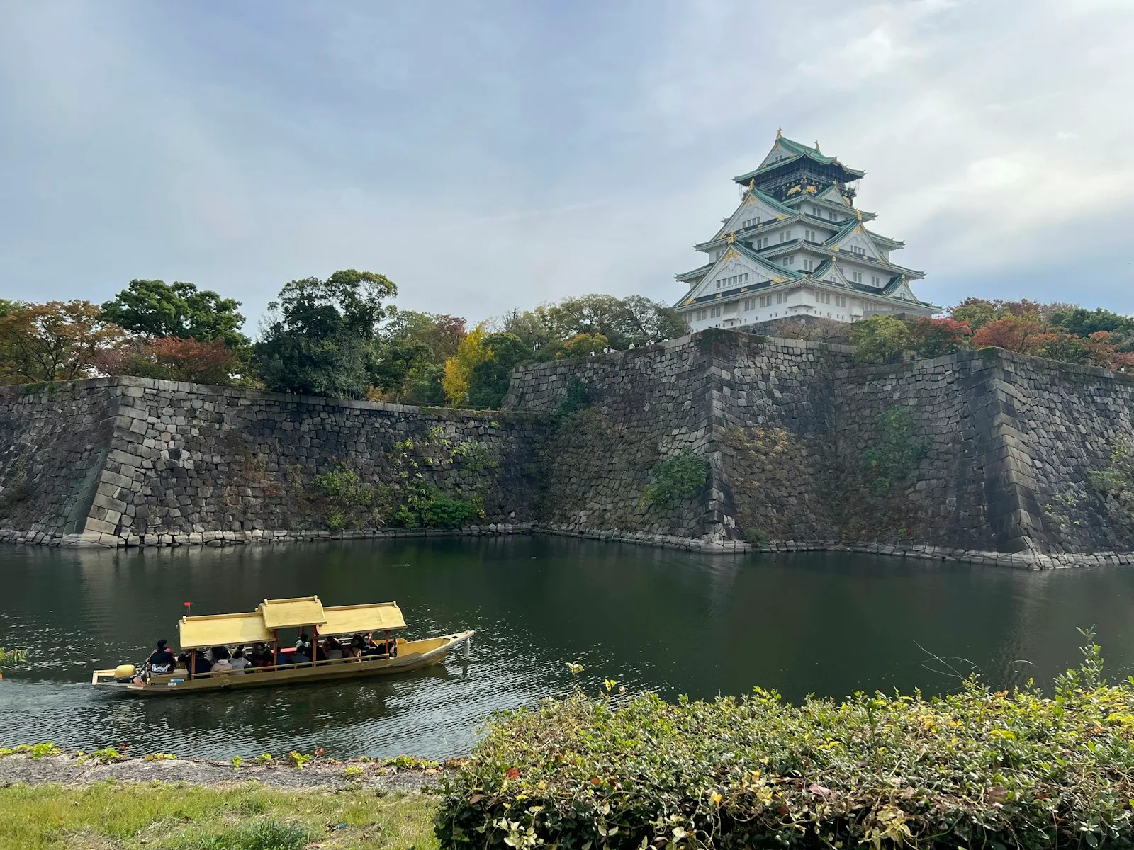 Japonya’da sonbahar yapraklarından bir kare