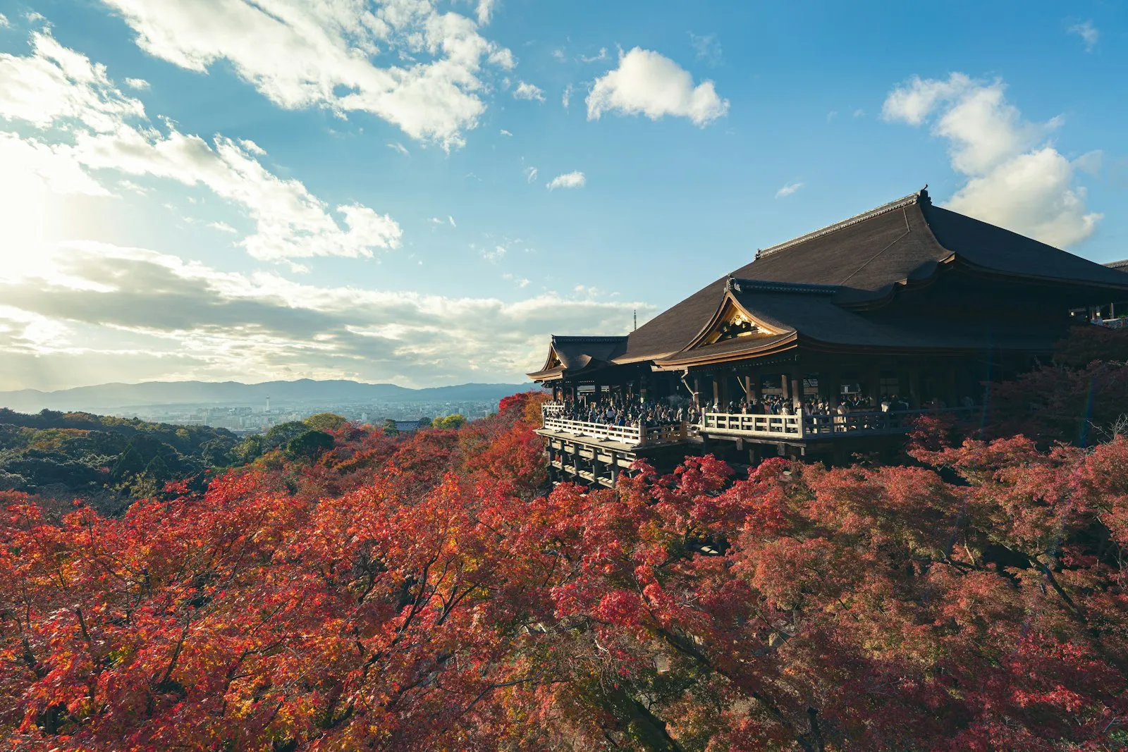 Japonya’da sonbahar yapraklarından bir kare