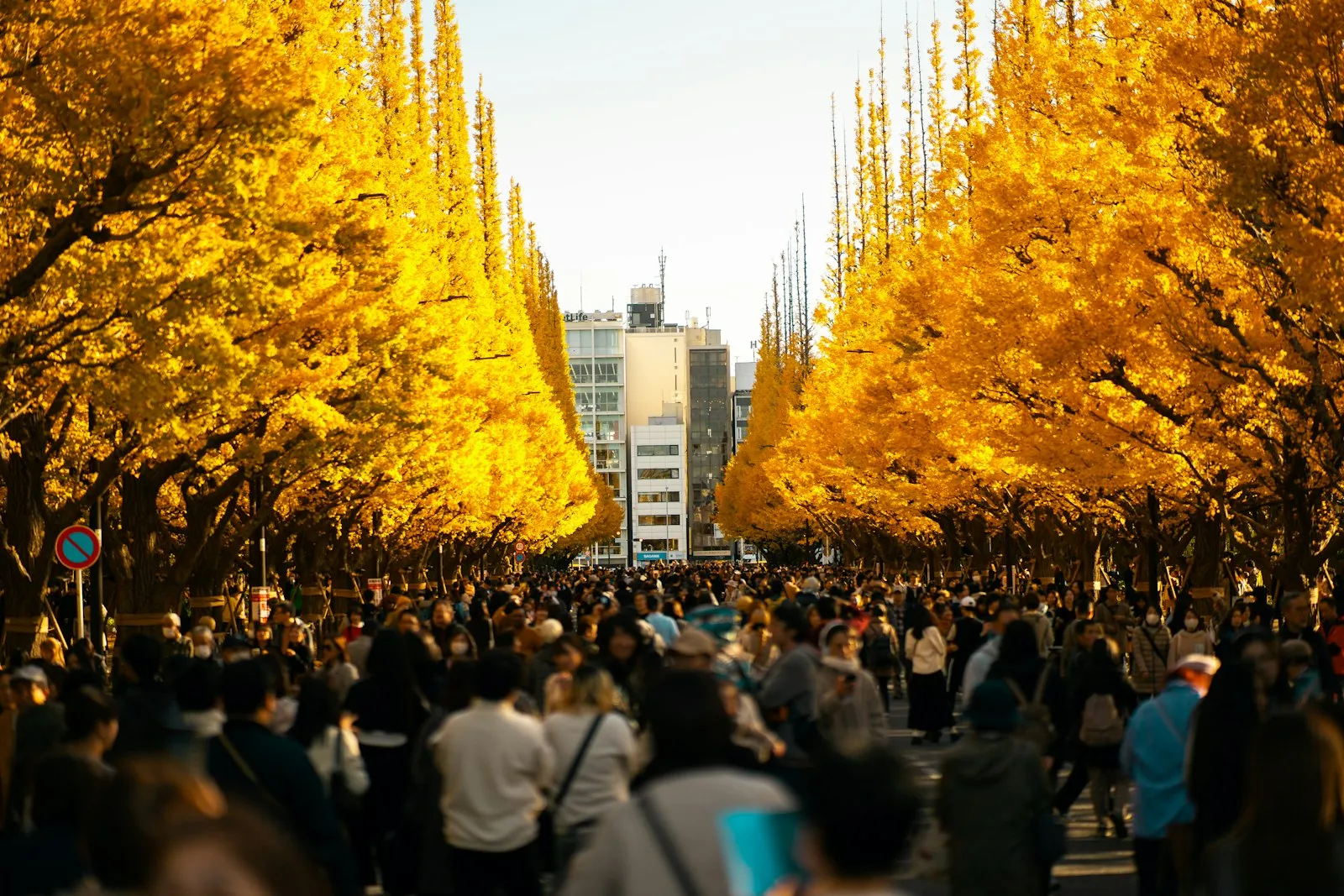 Japonya’da sonbahar yapraklarından bir kare