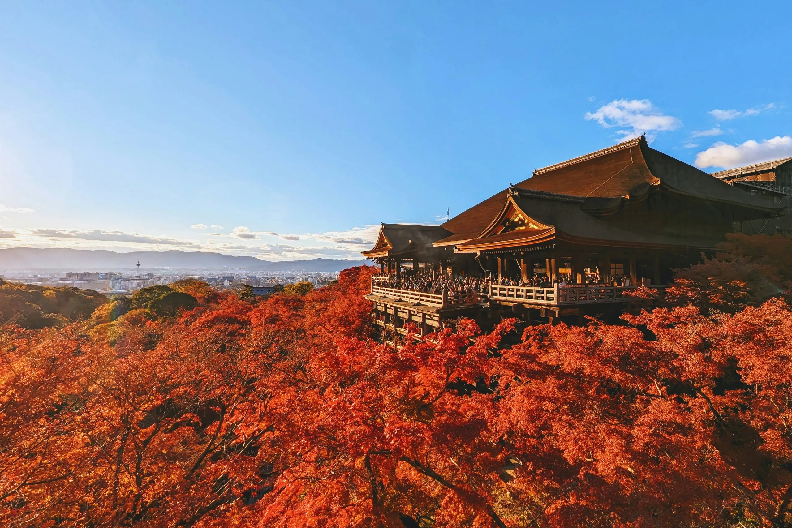 Sonbaharda kızıla dönmüş akçaağaçların arasında bir Japon tapınağı