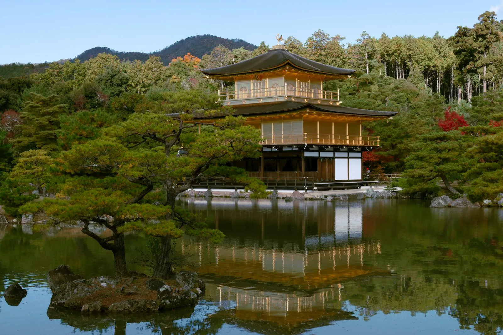 Kyoto'da göle yansıyan Altın Pavyon (Kinkaku-ji)