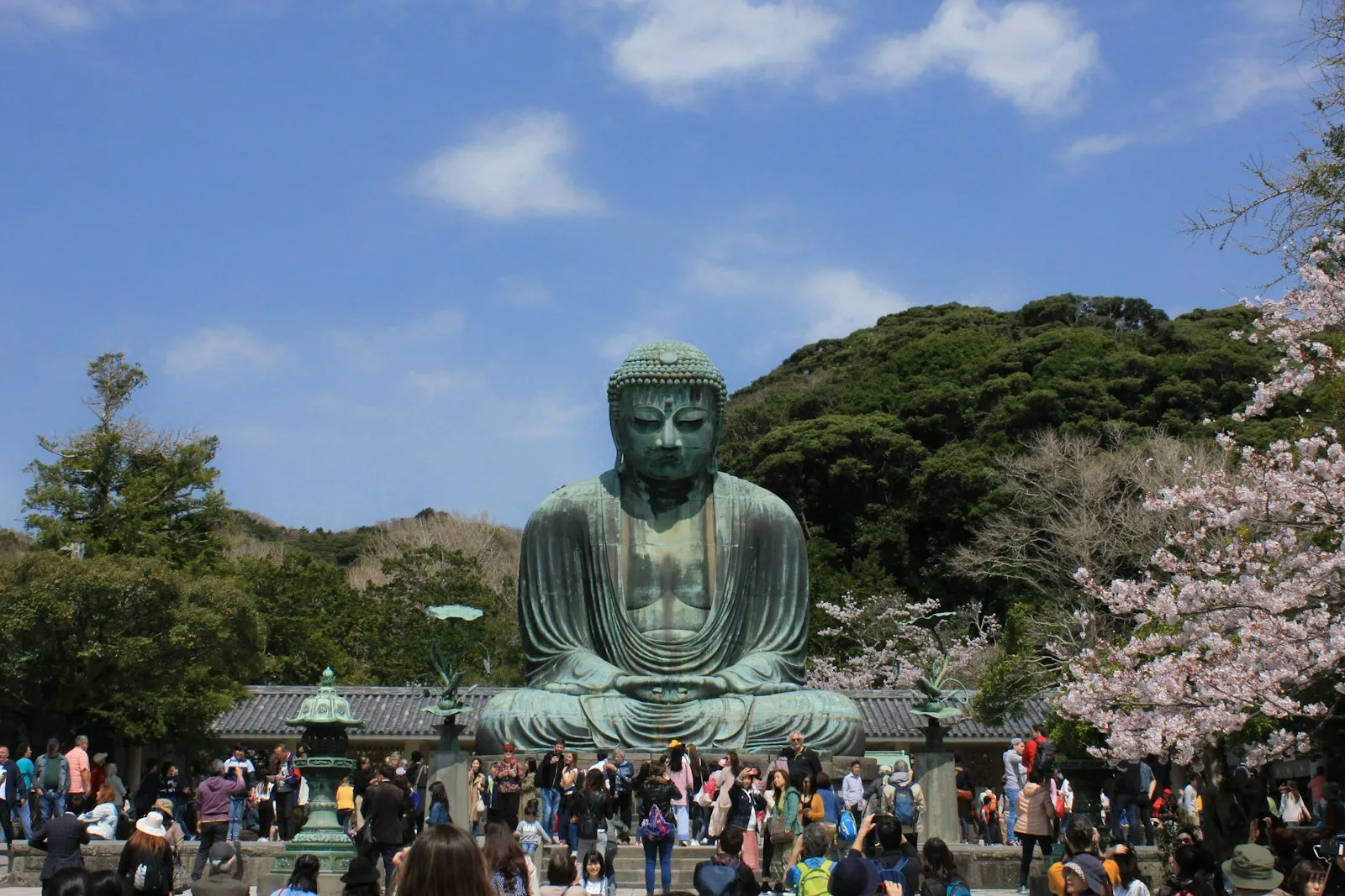 Kamakura'da kiraz çiçekleri arasında Büyük Buda (Daibutsu)